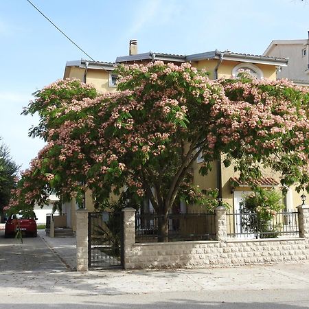 Luna Apartments Budva Pokoj fotografie